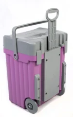 BAGS CADII SCHOOL CASE - Image 10